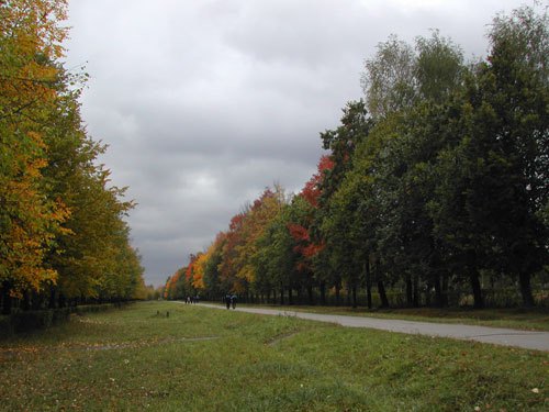 В день старта XXVI "KM"